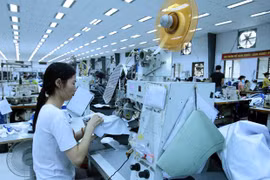  Vietnam registra 8,3 mil nuevas empresas en enero