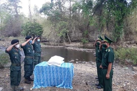 Asistencia arrocera en zonas limítrofes estrecha relaciones Vietnam-Camboya