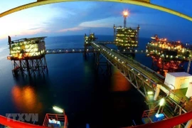 Empresa petrolera vietnamita por superar retos en la actual coyuntura económica