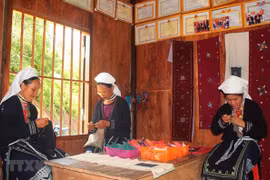 Vietnam eleva conciencia de comunidad en prevención contra trata humana