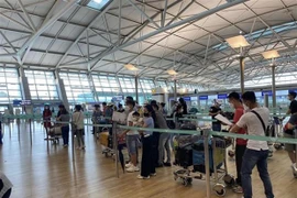 Repatrían a vietnamitas varados en Oriente Medio y África