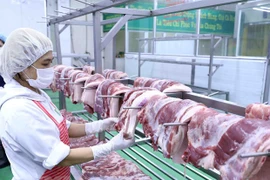 Arriban a Vietnam cerca de mil 500 toneladas de carne de cerdo de Rusia
