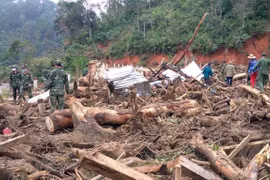 Reportan un fallecido por deslizamiento de tierra en provincia vietnamita