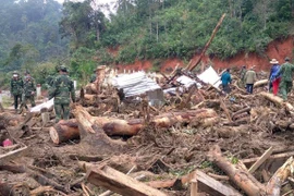 Reportan un fallecido por deslizamiento de tierra en provincia vietnamita