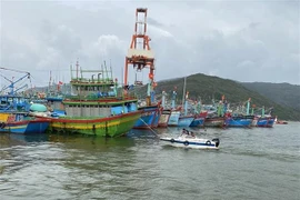 Preside Vietnam Foro Marítimo de ASEAN