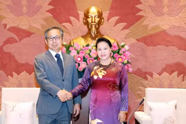 Vietnam y Japón desarrollan sus nexos con alta confianza política