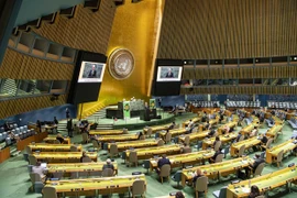 Vietnam propone iniciativas para conservación de biodiversidad en Cumbre temática de ONU