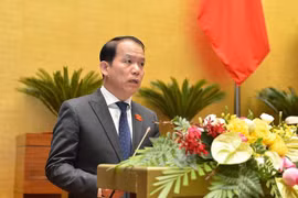 Parlamentarios vietnamitas debaten Ley de reajuste de legislación de sanción administrativa