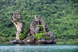 Provincia vietnamita de Quang Ninh por desarrollar el turismo forestal