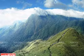 Vietnam traza estrategia para conservar su biodiversidad
