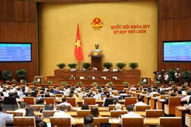 Parlamento de Vietnam sancionará resolución sobre programa de supervisión en 2021