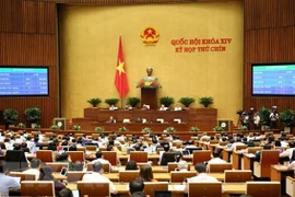 Parlamento de Vietnam sancionará resolución sobre programa de supervisión en 2021
