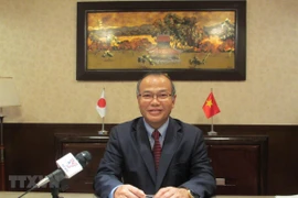 Relaciones Vietnam-Japón crean bases para la cooperación en el Sudeste Asiático, según diplomático