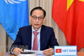 Vietnam aboga por establecer relaciones de amistad entre los países y respetar la Carta de la ONU