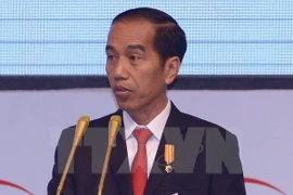 Indonesia acometerá electrificación en zonas rurales en 2020