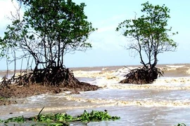 Agencia alemana apoya a provincia vietnamita en resistencia a inundaciones