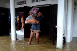 Premier vietnamita exige mayores esfuerzos frente a la tormenta Nangka y las intensas lluvias