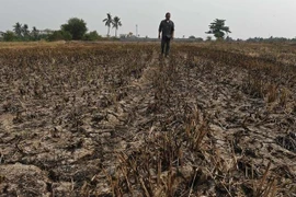 Tailandia enfrenta riesgo de severa escasez de agua, advierten expertos