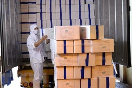 Vietnam exporta primer lote de camarones a la Unión Europea bajo EVFTA