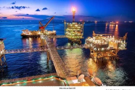 Recibe viceprimer ministro de Vietnam a director del grupo Jadestone Energy