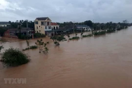 Rey tailandés expresa simpatía con Vietnam ante pérdidas causadas por inundaciones