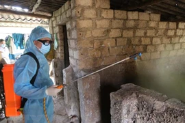 Refuerzan medidas para prevenir la peste porcina africana en 19 provincias vietnamitas