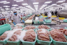 Exporta provincia vietnamita de Khanh Hoa primer lote de atún a UE