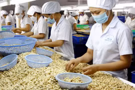 Vietnam registra ingreso multimillonario por exportaciones de productos agrosilvícolas y acuícolas