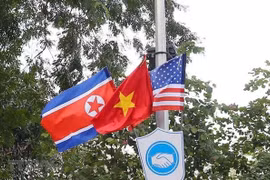 Destaca experto australiano capacidad de la diplomacia vietnamita