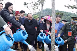 Aspira Vietnam a convertirse en exportador líder de madera del mundo 