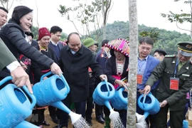 Aspira Vietnam a convertirse en exportador líder de madera del mundo 