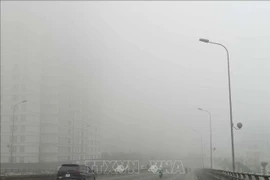 Expertos señalan vínculos de contaminación del aire y el COVID-19