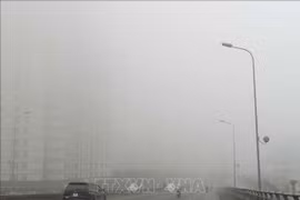 Expertos señalan vínculos de contaminación del aire y el COVID-19