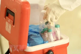Vietnam confirma siete casos nuevos de coronavirus, todos en ciudad de Da Nang