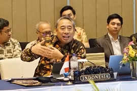 AMM53: Indonesia destaca resultados de la cooperación regional en respuesta al COVID-19
