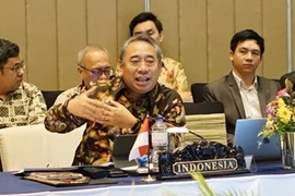 AMM53: Indonesia destaca resultados de la cooperación regional en respuesta al COVID-19