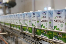 Ventas minoristas en Vietnam aumentan 5,3 por ciento en el primer semestre