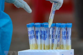Vietnam cierre la jornada sin registrar nuevos casos del COVID-19