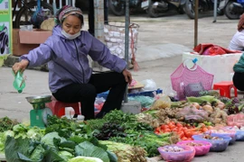 Provincia vietnamita de Vinh Phuc ofrece asistencia a pobladores afectados por el COVID-19