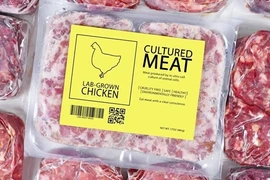 “Pollo de laboratorio” ¡a tu plato en Singapur!