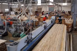 Ventas de productos forestales de Vietnam alcanzan más de 11 mil millones de USD en 2019