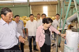 Presidenta del Parlamento vietnamita realiza visita de trabajo a provincia de Soc Trang