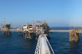 Sector petrolero de Vietnam enfrenta doble desafío