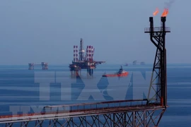Empresa mixta Vietnam-Rusia Vietsovpetro por recuperar explotación petrolera