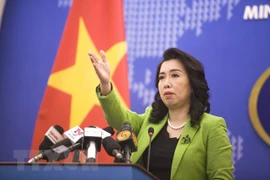 Ejercicios chinos en aguas de Hoang Sa violan soberanía de Vietnam, afirma vocera de Cancillería