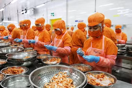 Exportaciones de camarones de Vietnam a Canadá crecen en primeros 10 meses de 2020
