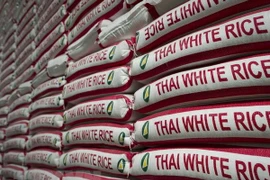 Tailandia aprueba el esquema de garantía del precio del arroz para 2020-2021