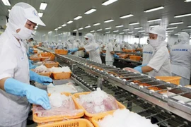 Aumenta la exportación de calamares y pulpos de Vietnam