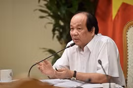 Inaugurarán en agosto plataformas de informaciones para la dirección gubernamental