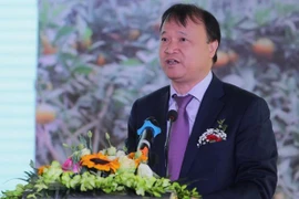 Impulsan cooperación económica y comercial entre Vietnam y Chile